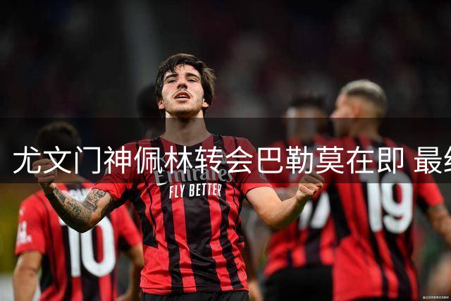 尤文门神佩林转会巴勒莫在即 最终细节即将敲定