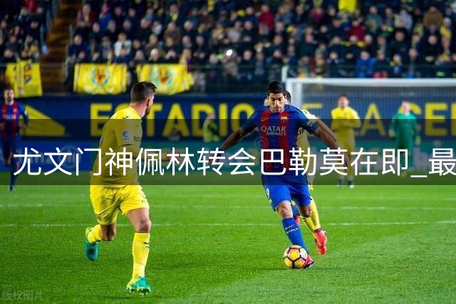 尤文门神佩林转会巴勒莫在即 最终细节即将敲定
