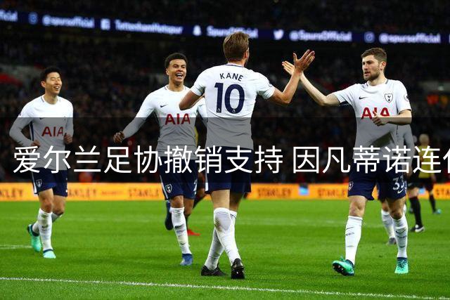 爱尔兰足协撤销支持 因凡蒂诺连任前景蒙阴影