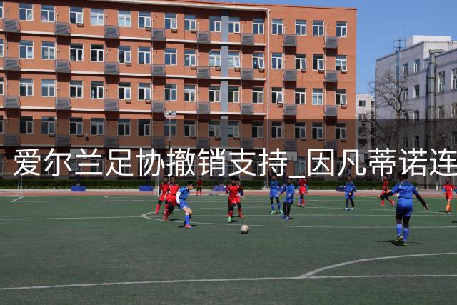 爱尔兰足协撤销支持 因凡蒂诺连任前景蒙阴影