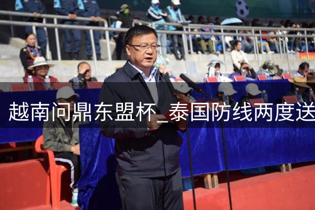 越南问鼎东盟杯 泰国防线两度送礼助对手夺冠