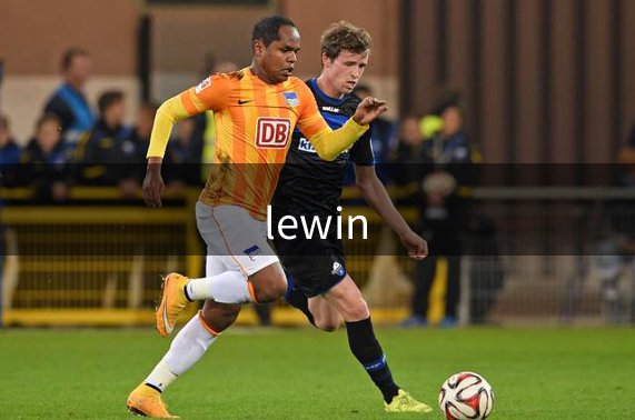 lewin品牌故事